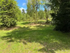 3rd meadow in the spring