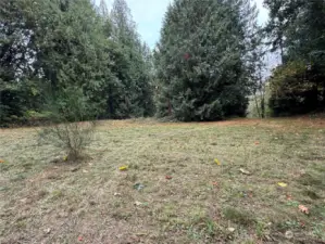 right side of the meadow