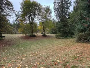 Cleared building site and meadow area