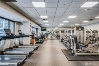 Large Fitness Center