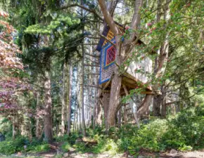 Cutest treehouse is UNsafe without work. PLEASE DO NOT ENTER.