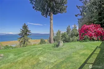 Mature Landscaping