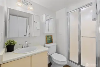 Primary bathroom