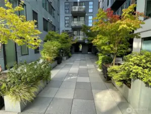 The courtyard in the late summer season.