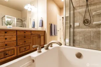 brushed nickel fixtures