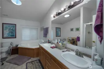 PBR 5-piece bathroom.