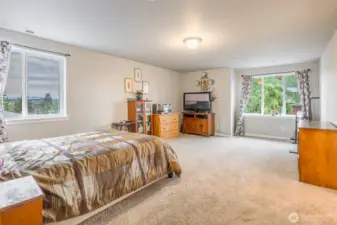 Very spacious primary bedroom