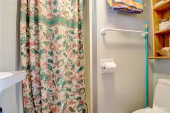 Bathroom in main cabin with room to expand.