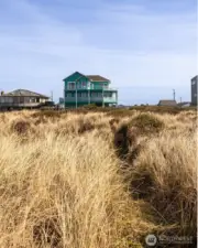 Trail through the dunes.