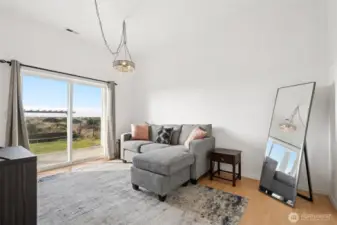 On the entry level is an apartment style space. This is a bedroom with walk-out to the backyard but it's also perfect as a living room.