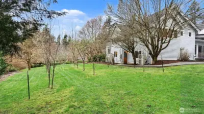 Step outside to your own private Oasis, expansive grounds with room for recreation, relaxation, and endless possibilities. Enjoy fresh fruit with several fruit trees.