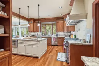 Epicurean kitchen with professional stove/range, 3 dishwashers and cherry cabinetry.