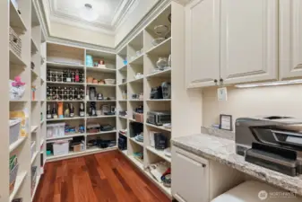 Huge walk-in pantry with a planning station.