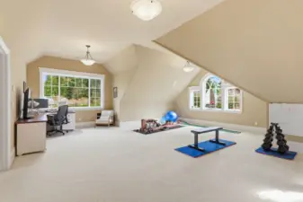 Accessed off the office or up the rear staircase you’ll find the bonus room; a light and bright space for a myriad of pursuits.