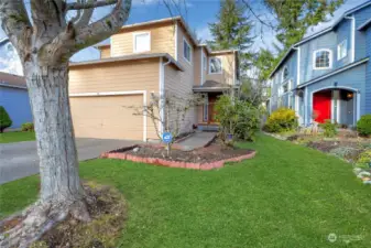 Landscaped front yard