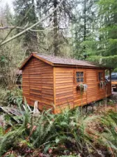 Rear view of cedar outbuilding