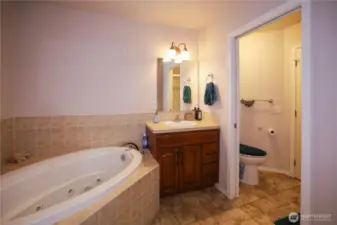 The en suite bathroom has a large jetted garden bathtub and with separate room for toilet with door for privacy  The en suite has a standalone shower as well.