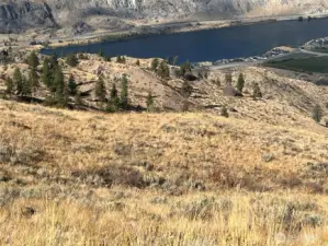 Rolling hill on this mountain with huge views.