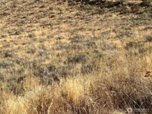 5 acres to use as you wish.
