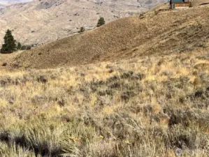 The only thing between you and the dirt, is the grass.
