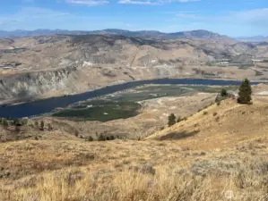 Rolling hillside overlooking the Columbia River