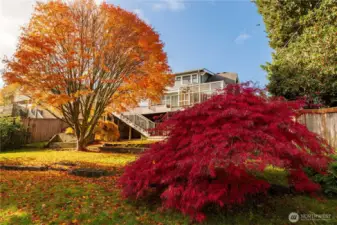 Explosive and stunning fall colors, right in your backyard. Watch the leaves change from your spacious deck or warm solarium.