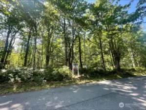 1.61 acres of treed lot with large open building pad. Level lot with room to roam. No HOA.