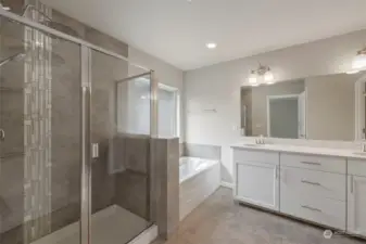 Luxury Bathroom with dual vanities, water closet, and walk in closet