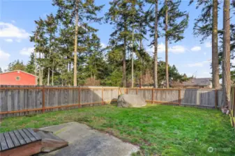 Fully fenced backyard to run around and play!