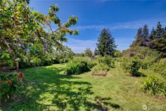 Garden area