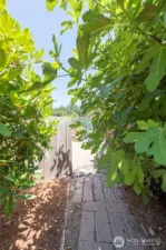Walking path.
