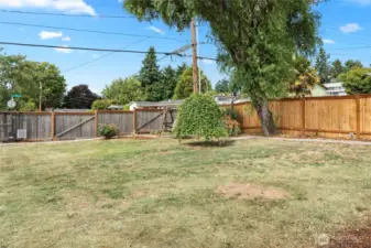 Large level front yard