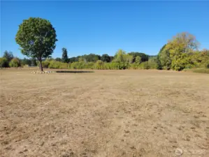 Front Pasture