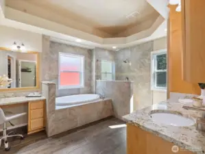 The bathroom showcases extensive slab granite and tile, including the floors, along with a separate makeup counter, jetted tub, and walk-in shower. Intricate ceiling details add a touch of elegance.