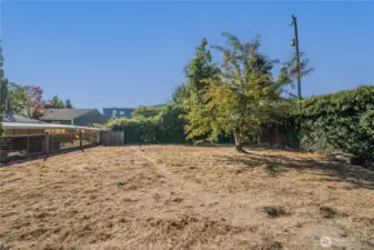 Side Yard on West side of house, lots of possibilities from gardens, dog run, play yard, DADU, whatever your heart desires!  Alley access on the other right side of tree.