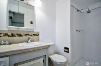 Bath off Primary