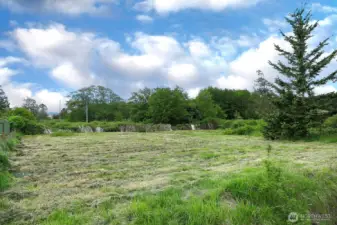 Level lot gets full sun and is located adjacent to the Greenbank Farm for trail systems and amenities!