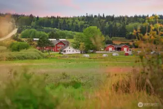 The Greenbank Farm offers a community space that can be rented, retail spaces, community garden plots and more!