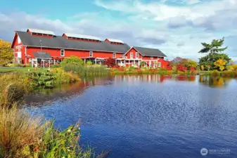 This is truly a plus to be next to the Farm!