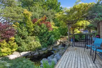 The tranquility of this koi pond and stream is next level relaxation