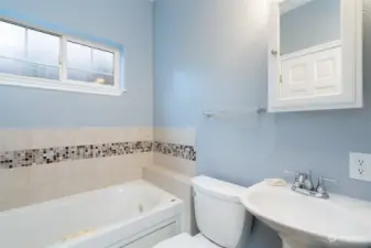 Lower Level Bath with soaker tub.