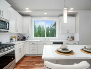 Kitchen with Evergreen Views