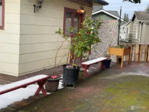 Benches and planters along property line.