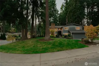 Impressive corner lot