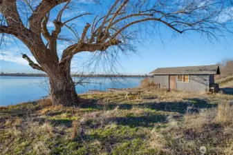 At the base of the switchback, what a delightful area to hang out and play, and have friends gather for a picnic and fun on the lake or in the shade of this gentle giant tree when the leaves come out in the spring!  You're just in time for it!