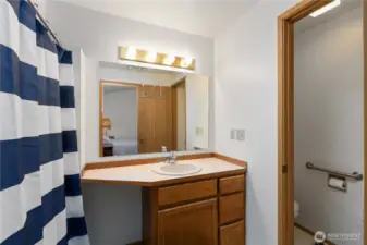 Primary bath with private toilet room.