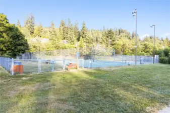 Community pickleball and tennis courts provide space for recreation and social play within the neighborhood.