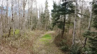 Entrance to property is gated with driveway into property.