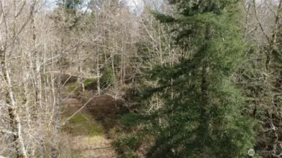 Established driveway into property.