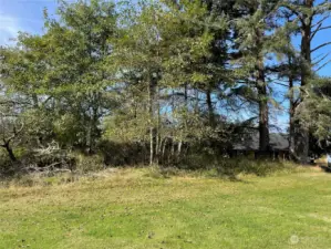 From the golf course looking toward property.